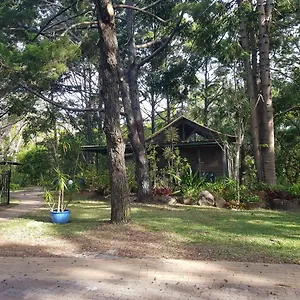 Rainforest Курортный комплекс